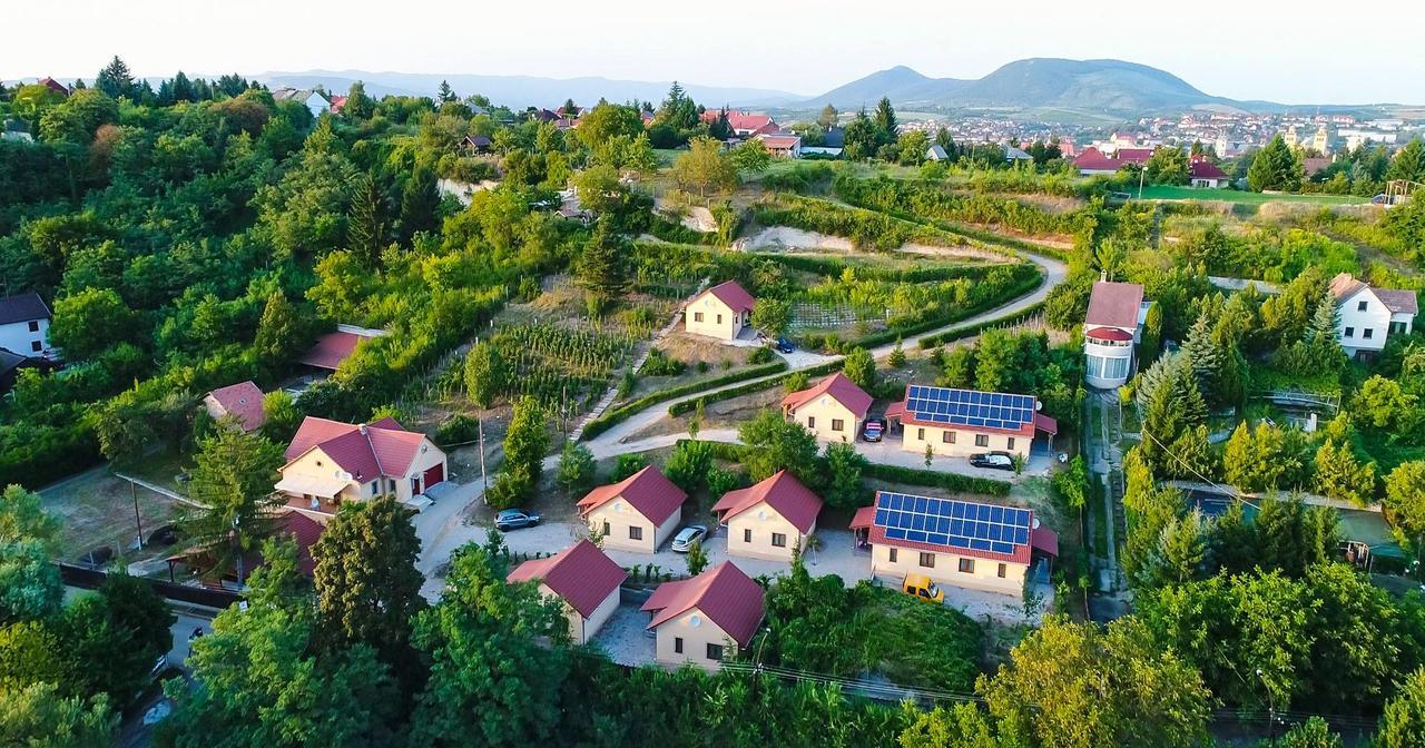Tulipan Apartmán *