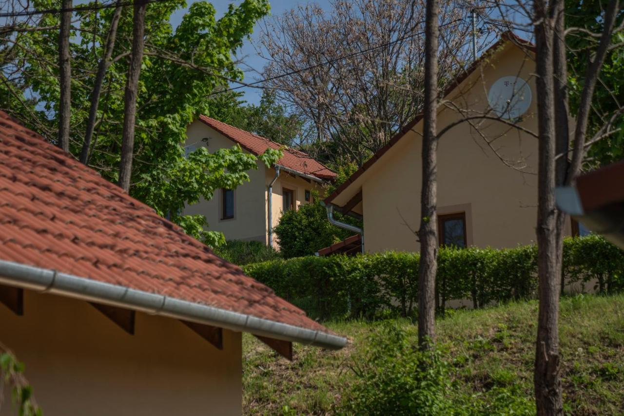 Appartement Tulipan