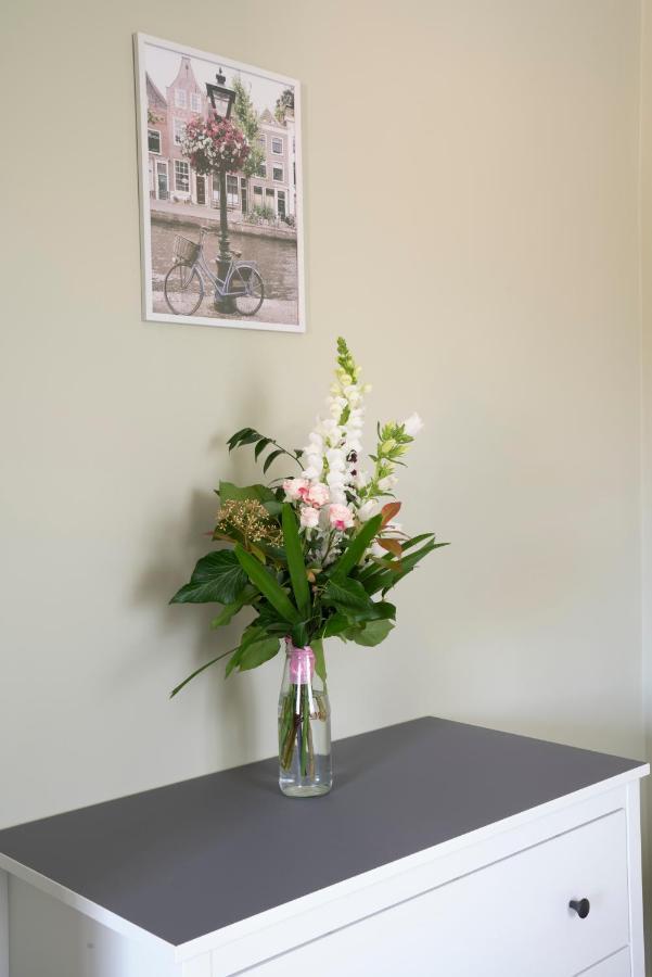 Apartment Tulipan *