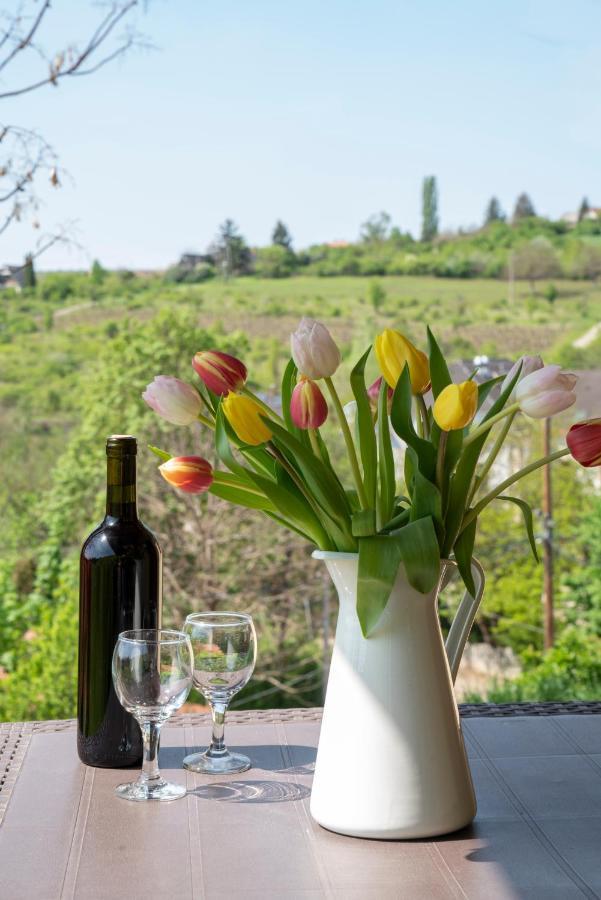 Tulipan Apartment
